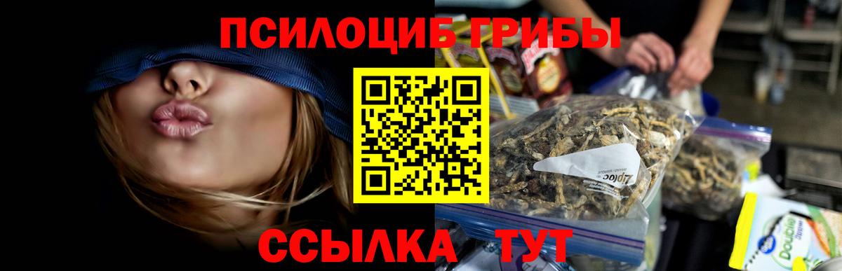 Галлюциногенные грибы GOLDEN TEACHER  Псилоцибиновые грибы Magic Shrooms  Вход с VPN  Междуреченск 